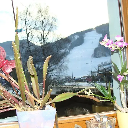 Апартаменты Appartement-reiteralm Шладминг