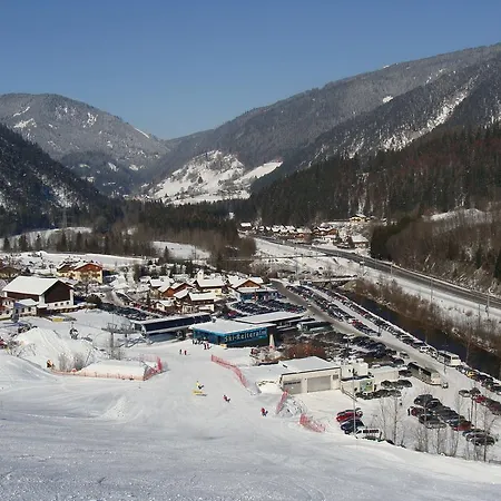 Daire Appartement-reiteralm