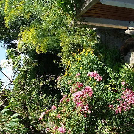 公寓 Appartement-reiteralm