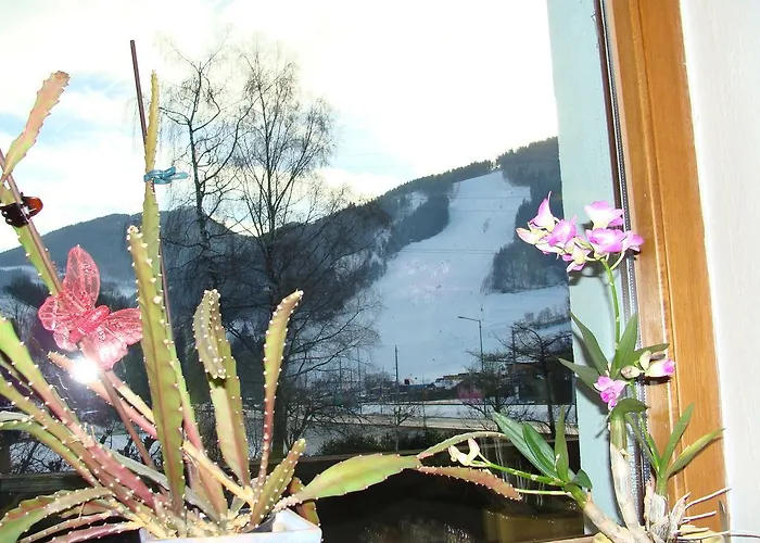 Appartement-reiteralm Апартаменти *