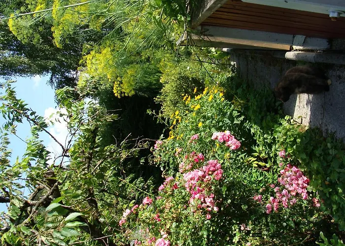 Apartman Appartement-reiteralm